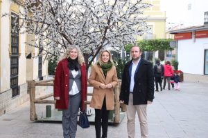 Alcalá (Sevilla) celebra la llegada de la Navidad con el encendido del alumbrado y el árbol en la Plaza de la Almazara