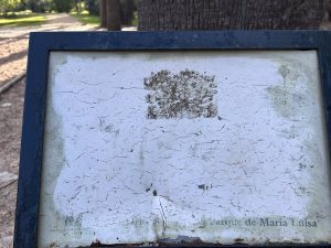 El Ayuntamiento de Sevilla renovará la señalización del Parque de María Luisa para promover la inclusión y prevenir el vandalismo.