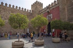 La Comisión de Patrimonio rechaza la reforma de un inmueble cercano al Alcázar por causar "daños al edificio"