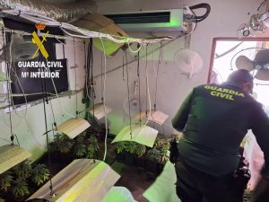 La Guardia Civil detiene a dos personas en Guillena (Sevilla) tras descubrir una plantación de marihuana y 20 armas blancas